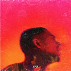 Platinum Fire - Arin Ray