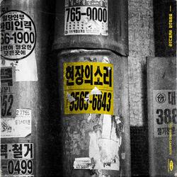 Sound Of The Field - Analog Boy