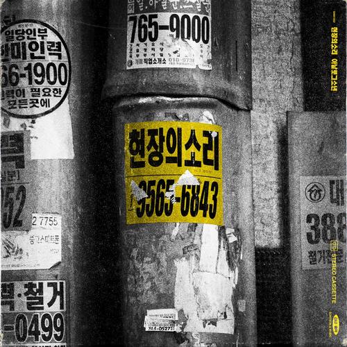 Sound Of The Field - Analog Boy
